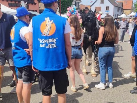 Photo Sortie Asperges