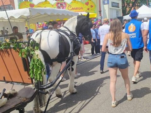Photo Sortie Asperges