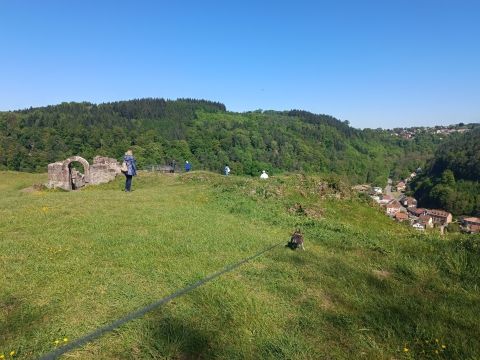 Photo Sortie du 1er Mai