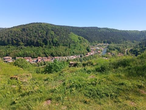 Photo Sortie du 1er Mai