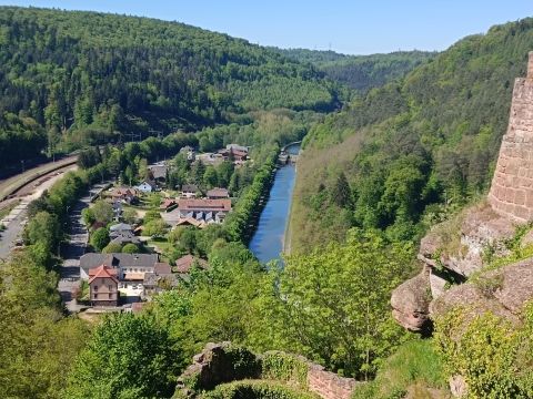 Photo Sortie du 1er Mai