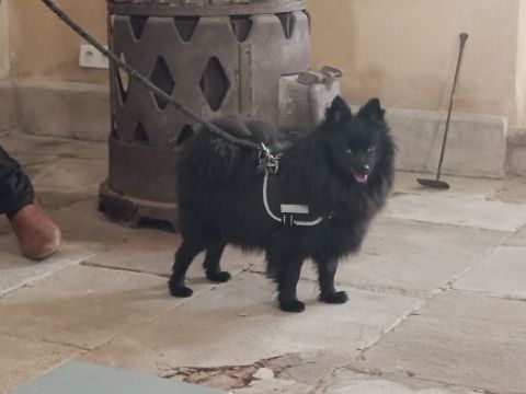 Photo Sortie du 1er Mai