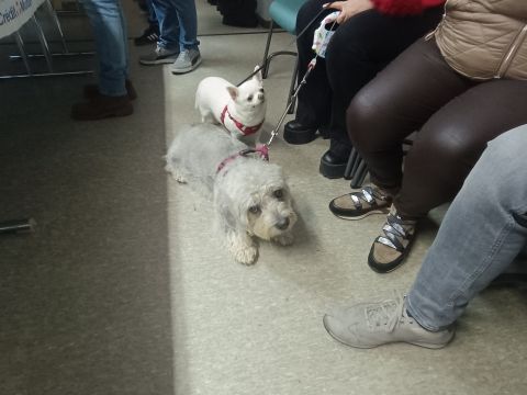 Photo Aperitif Dinatoire