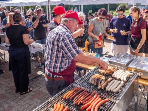 Photo Festival des Voitures Anciennes de Hambach