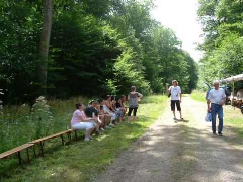 Photo Marche Gourmande