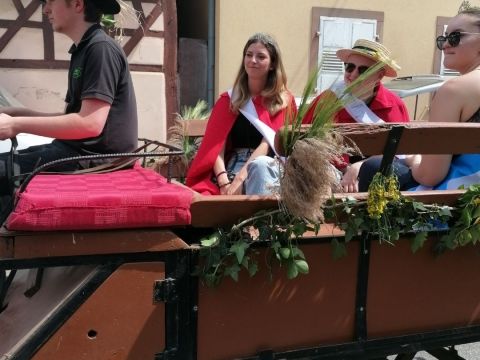 Photo Sortie Asperges
