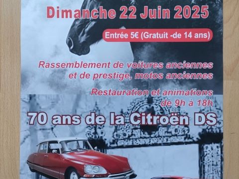 Automania 70 ans de la DS
